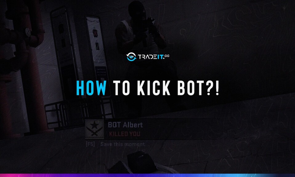 wie man Bots kickt csgo entfernen