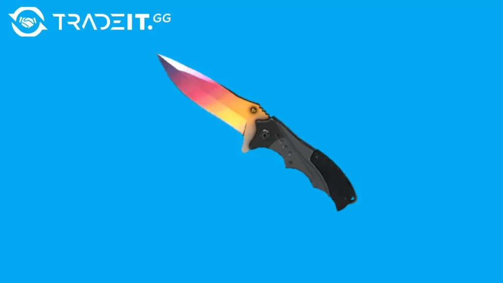 Best Nomad Knife Skins in CS2
