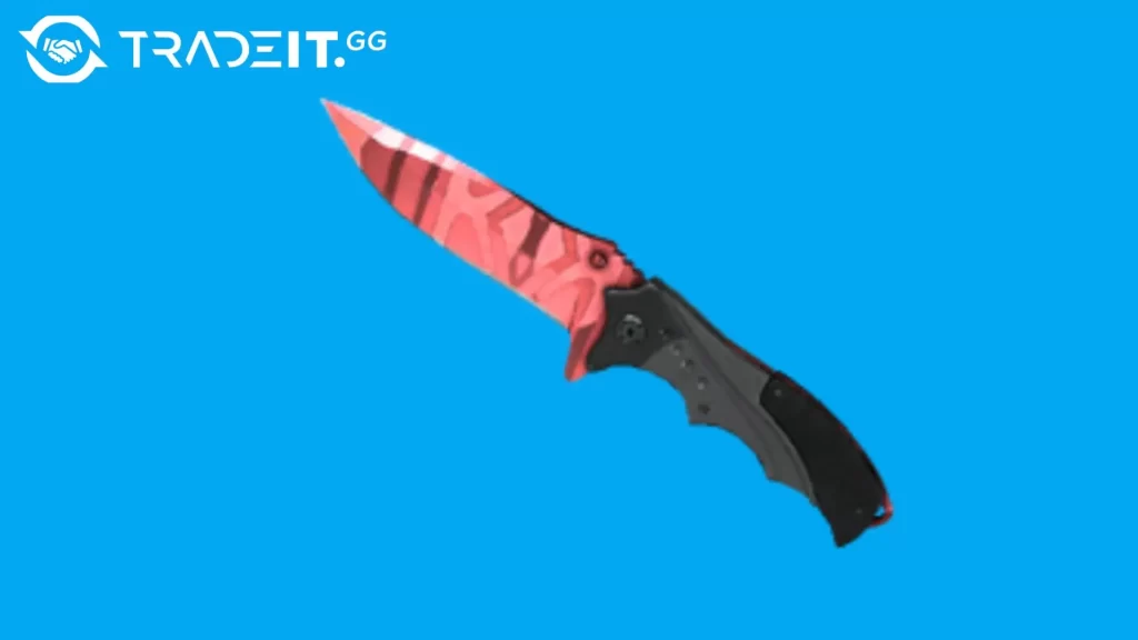 Best Nomad Knife Skins in CS2