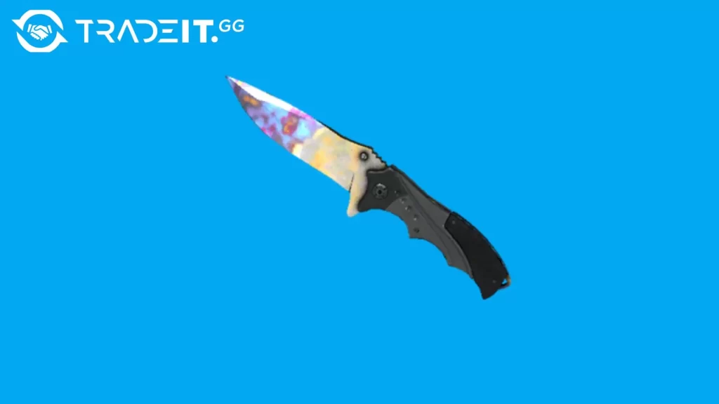Best Nomad Knife Skins in CS2