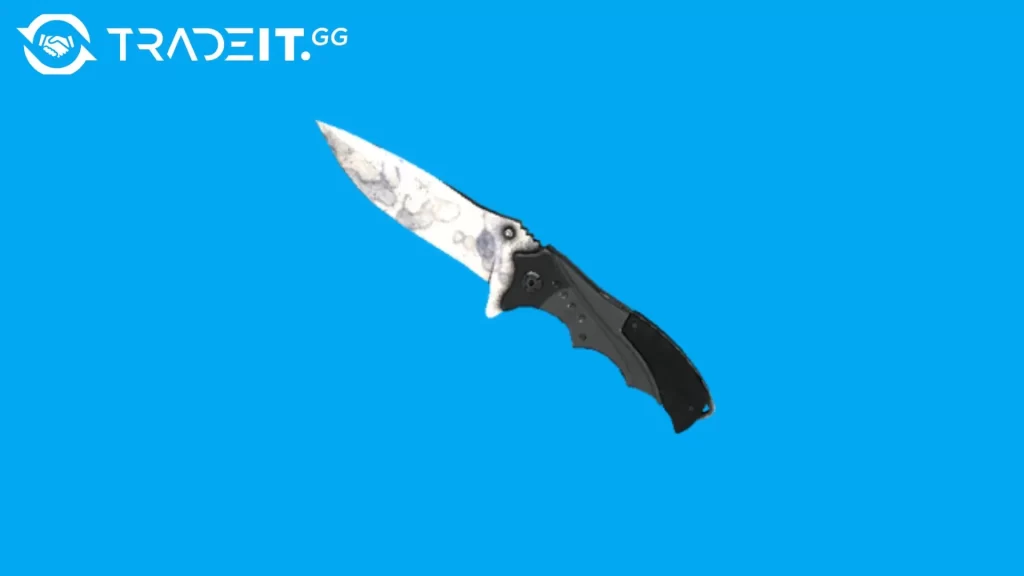 Best Nomad Knife Skins in CS2