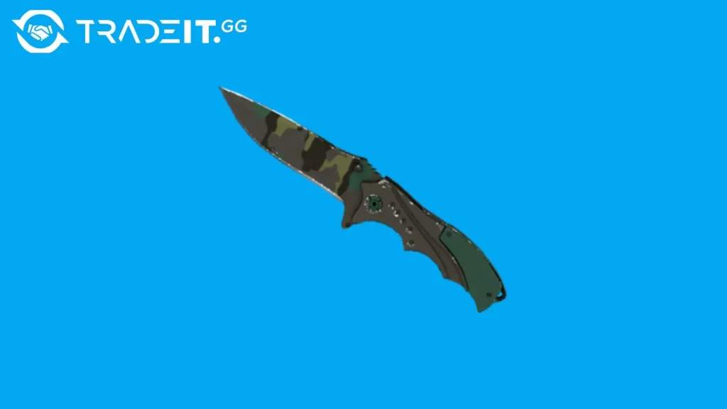 Best Nomad Knife Skins in CS2