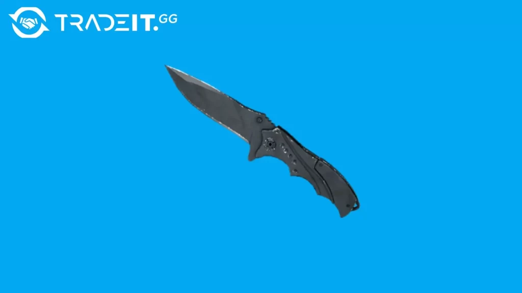 Best Nomad Knife Skins in CS2