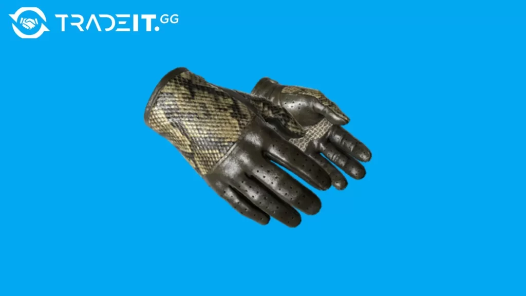Best-Driver-Gloves-3 Tradeit.gg Blog | CS2, CS:GO, Rust, TF2 & Dota 2 best driver gloves