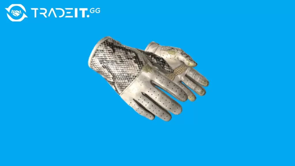 Best-Driver-Gloves-9 Tradeit.gg Blog | CS2, CS:GO, Rust, TF2 & Dota 2 best driver gloves