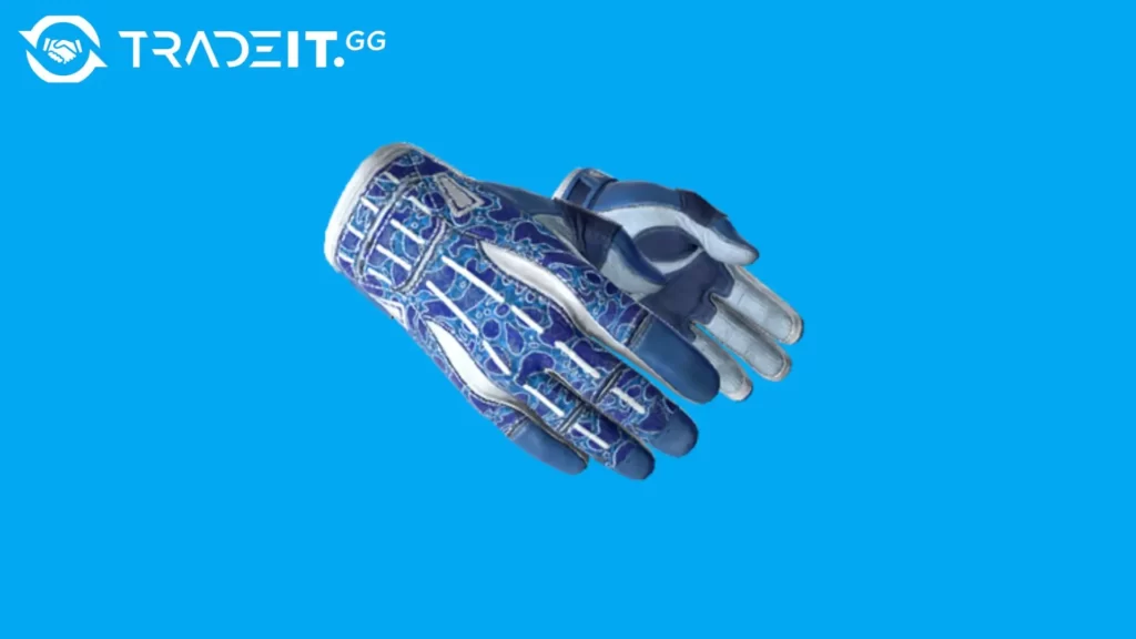 Best-Gloves-Skins-4 Tradeit.gg Blog | CS2, CS:GO, Rust, TF2 & Dota 2 best sport gloves skins