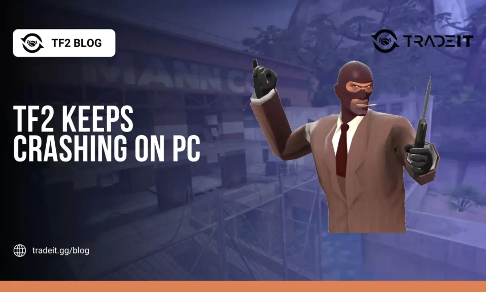 TF2 Keeps Crashing on PC